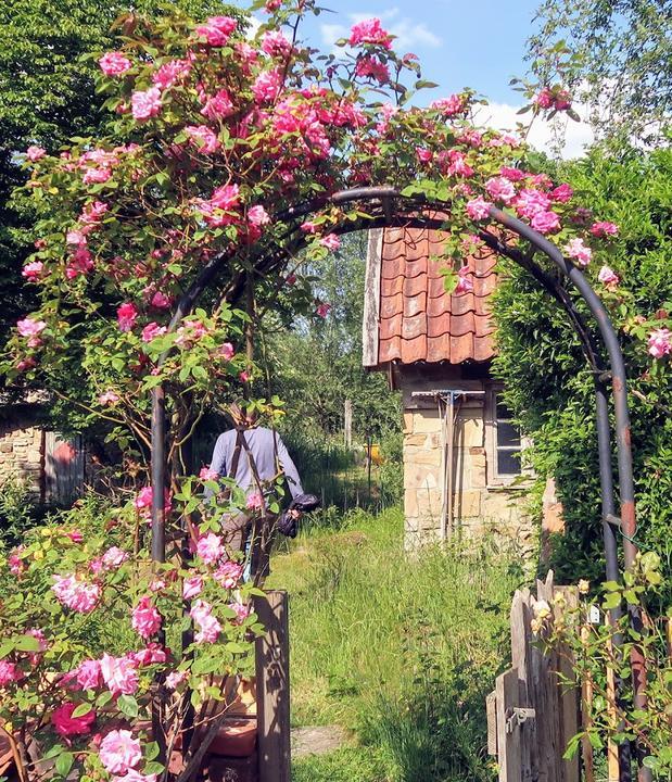 GRÜNWERKSTÄTTEN Garten-Café